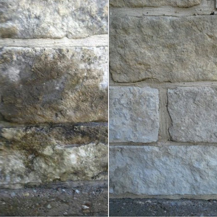 Beyond Aesthetics: Why Pressure Washing Matters for Health