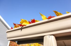 Gutter Cleaning Services