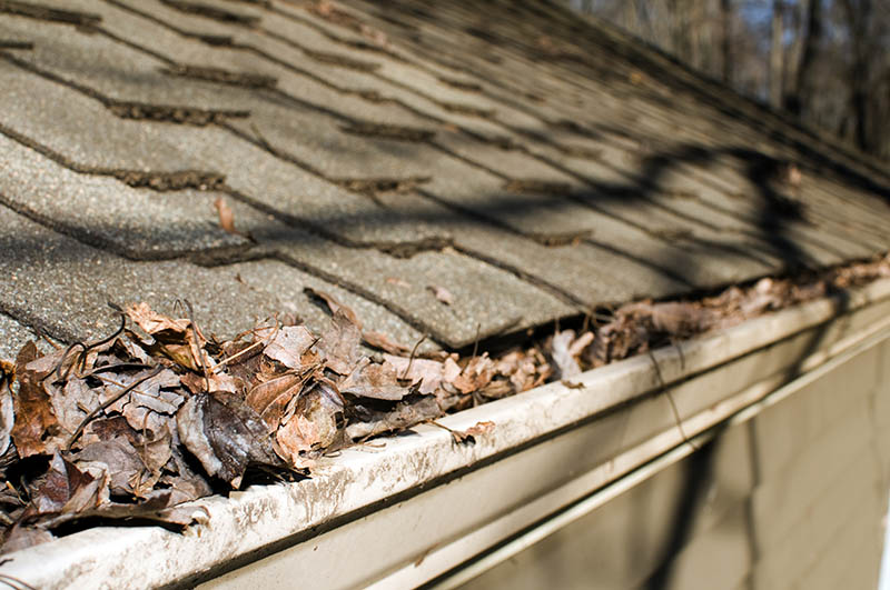 When to Clean Your Gutters?