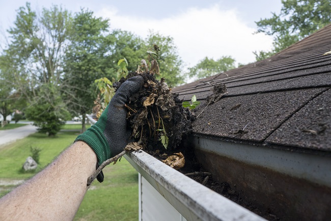 Why Cleaning Out Gutters is Critical to a Healthy Home