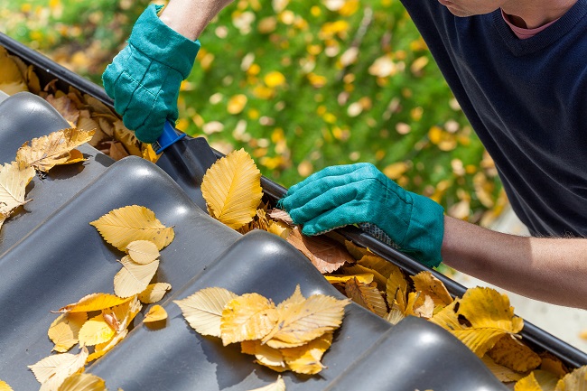 Unexpected Effects of Not Cleaning Your Gutters