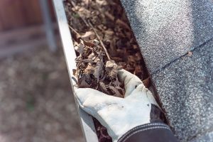 What Happens if You Don't Clean Out Your Gutters?